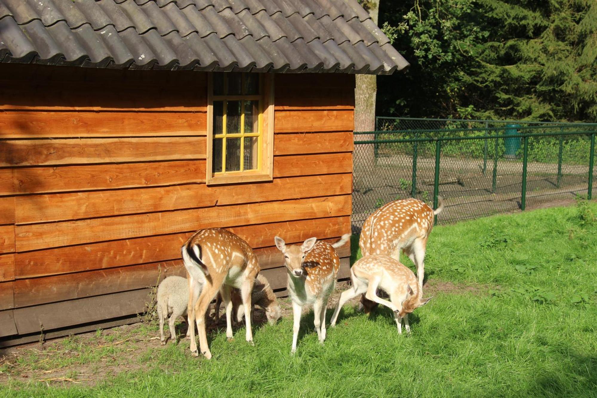 האטם Molecaten Park De Leemkule מראה חיצוני תמונה