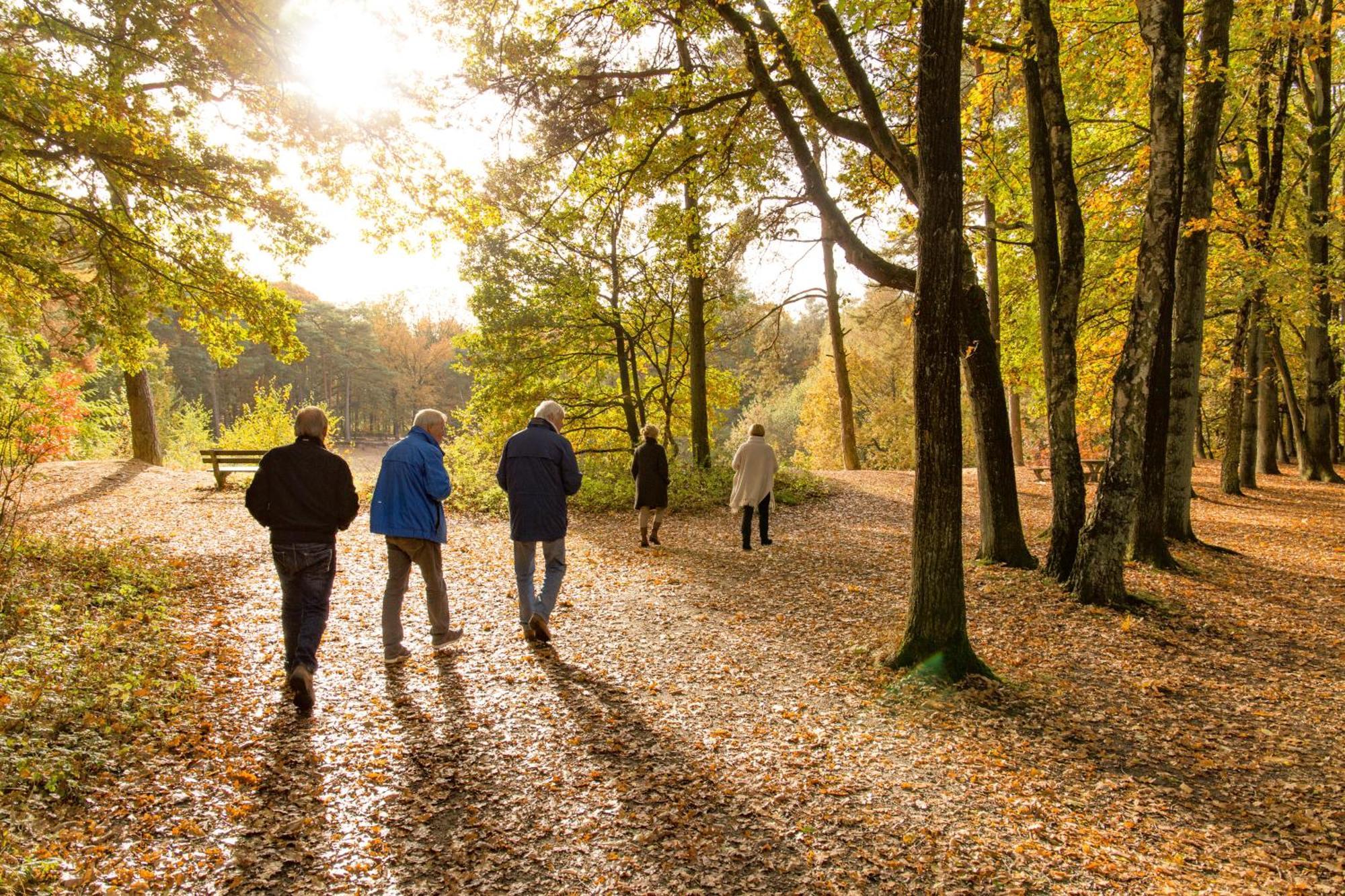 האטם Molecaten Park De Leemkule מראה חיצוני תמונה