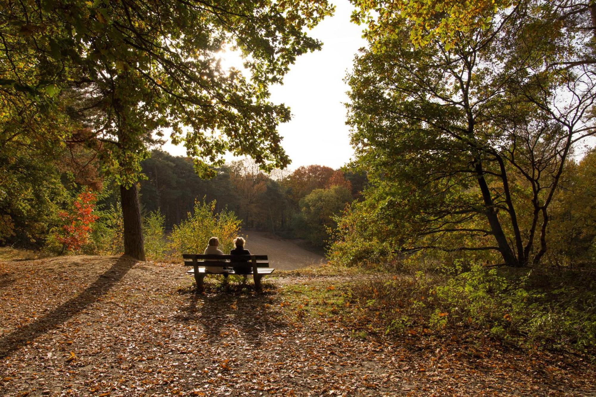 האטם Molecaten Park De Leemkule מראה חיצוני תמונה