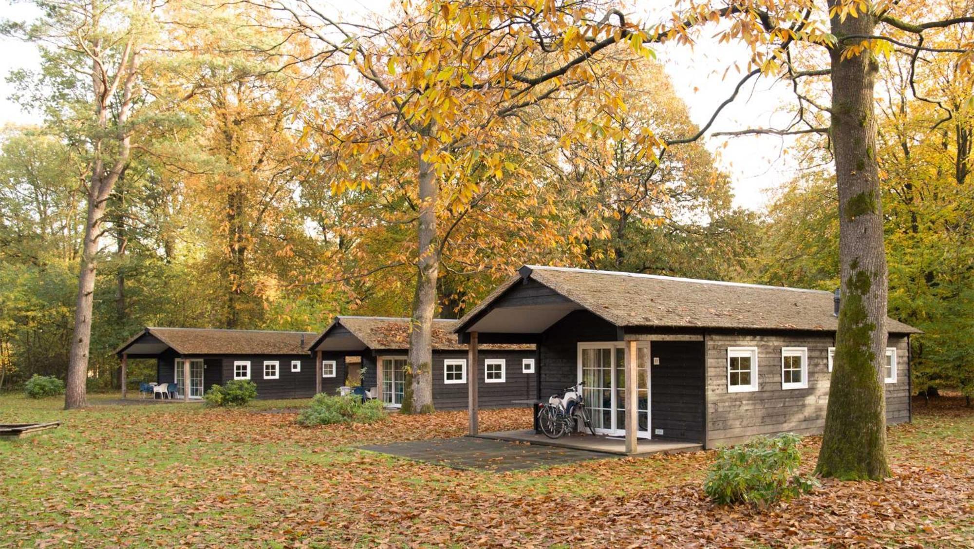 האטם Molecaten Park De Leemkule חדר תמונה
